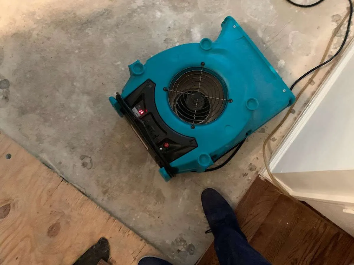 Air mover drying subfloor during Leak Detection & Repair in Lawrence